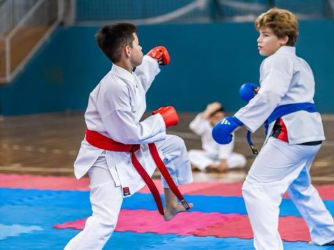 Festival de Karatê 08