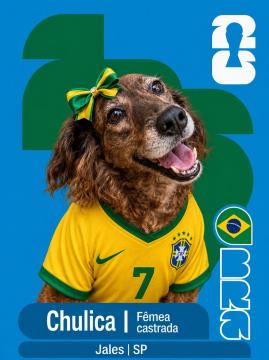 Adote um Capeão 07