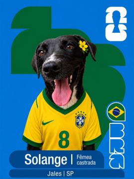 Adote um Capeão 08