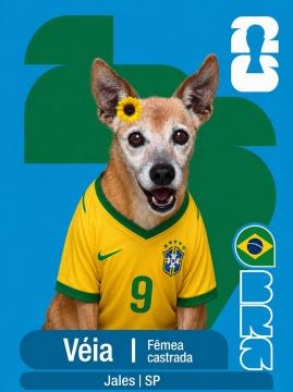 Adote um Capeão 09