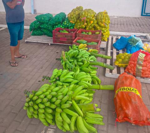 WhatsApp Image 2026-02-13 at 16.58.39