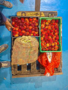 WhatsApp Image 2026-02-13 at 16.58.39 (1)