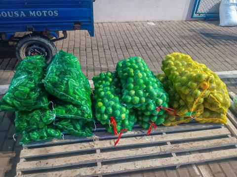 WhatsApp Image 2026-02-13 at 16.58.40