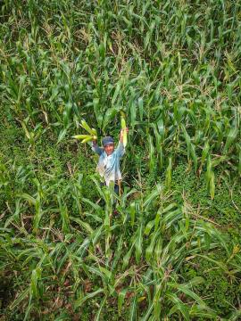 WhatsApp Image 2026-04-15 at 10.56.15 (1)