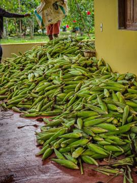 WhatsApp Image 2026-04-15 at 10.56.15