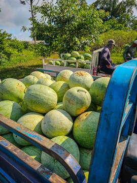 WhatsApp Image 2026-04-15 at 10.56.14