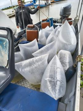 WhatsApp Image 2026-03-23 at 10.09.38