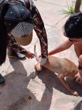 WhatsApp Image 2026-01-30 at 09.30.40 (2)