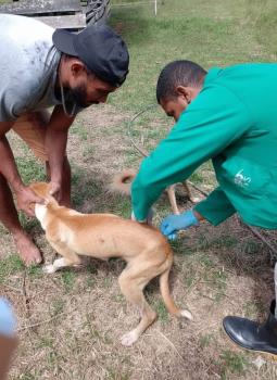 WhatsApp Image 2026-01-30 at 09.30.40 (1)