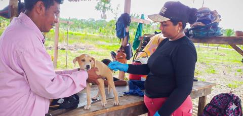 WhatsApp Image 2026-01-30 at 09.30.39 (2)