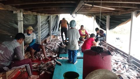 d3dafbda-85ce-4e3a-a97c-9e20b5cad56f