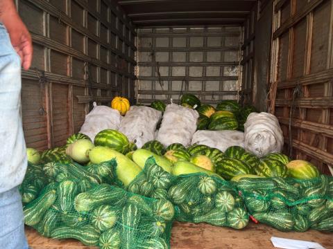 575112317_840891231630587_5772433818675189107_n