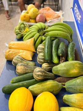 WhatsApp Image 2026-04-16 at 15.10.23 (5)