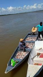 d5910241-8fbe-41a3-ad71-013ac17d1122