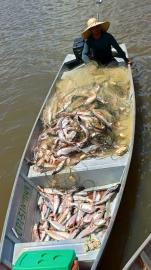 3a9578fa-63f7-44e9-876e-f0c4f69b3de9