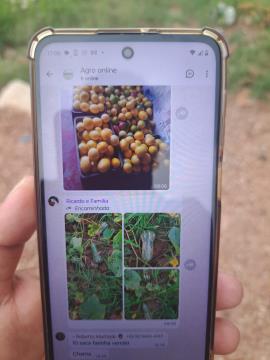 575172573_840891441630566_570969664652678275_n