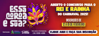 banner carnaval