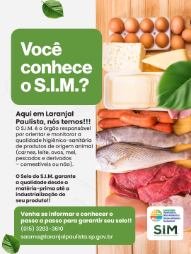 image (6)