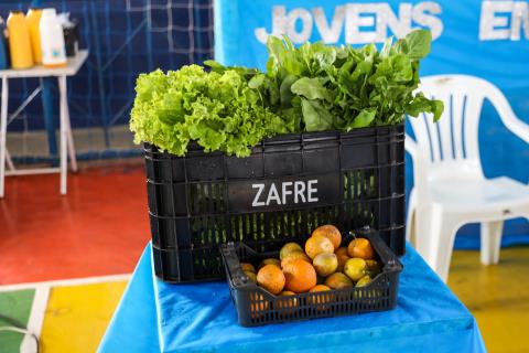 0015- Fotos SEBRAE - 05_06_25