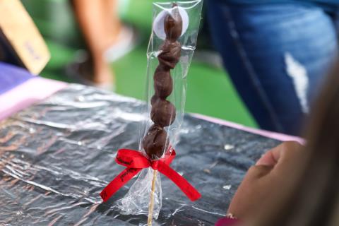 0023- Fotos SEBRAE - 05_06_25