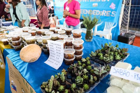 0024- Fotos SEBRAE - 05_06_25