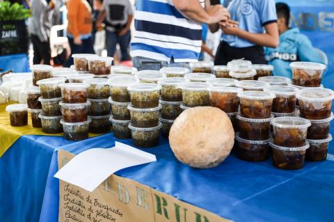 0034- Fotos SEBRAE - 05_06_25