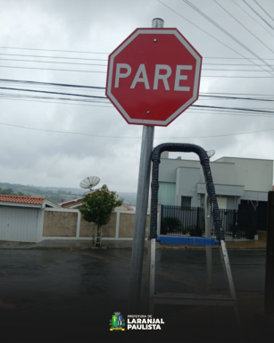 carrossel-1606-pare_04