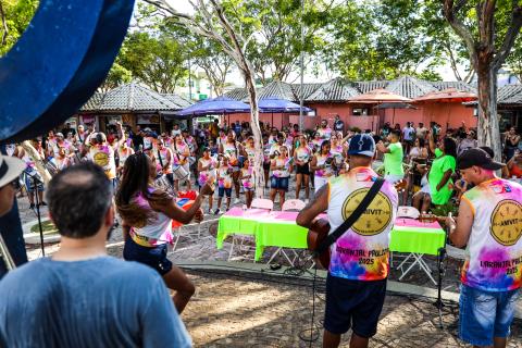 Pré Carnaval 2025 LP