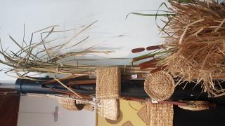 taboa 4