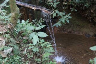 Parque Municipal do Fundão (37)