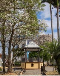 Sem título