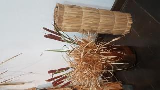 taboa 1