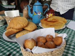 Cópia de DSC01413
