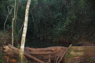 Parque Municipal do Fundão (12)