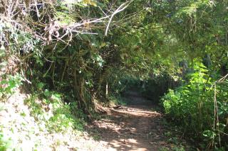 Parque Municipal do Fundão (9)