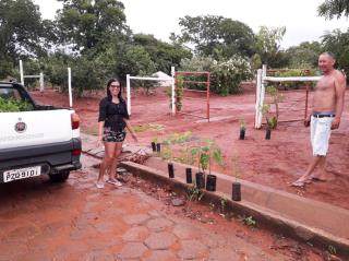 PAISAGEM-MAIS-BONITA_01