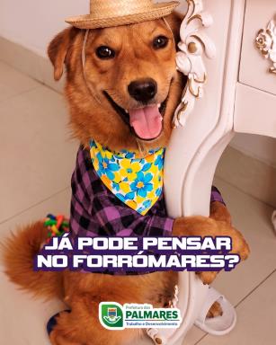 O hexa vai ter que esperar… 😅🏆Mas setembro não! 🤠🎶A torcida agora é outra- pelo reencontro c (1)