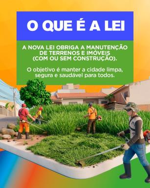 Manter o terreno limpo é um dever de todos e um cuidado que faz a diferença na saúde e no bem-es (1)