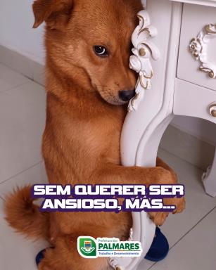 O hexa vai ter que esperar… 😅🏆Mas setembro não! 🤠🎶A torcida agora é outra- pelo reencontro c