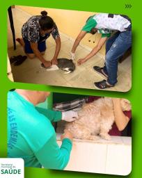 A Prefeitura dos Palmares segue cuidando da saúde dos animais e da população! A equipe de Vigilâ (1)