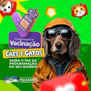Snapinsta.app_465963955_957624929539947_5654368465610732010_n_1080