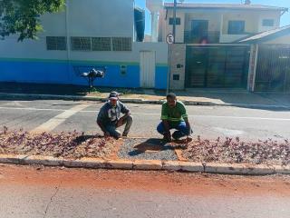 Revitalização padronização canteiros de avenida em NO 2025-06 (7)