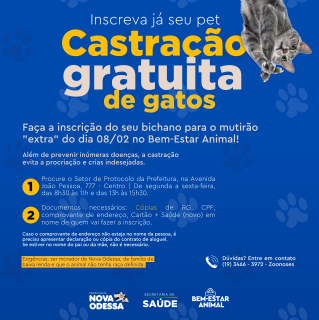 Castração Gratuita (Post para Instagram)