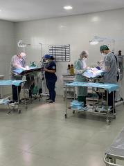 Programa Castração PMNO - mutirão gatos no Bem-Estar Animal 2025-02-08 (37)
