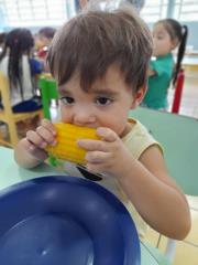 Merenda Escolar PMNO - milho da Agricultura Familiar 2025-02-18 (1)