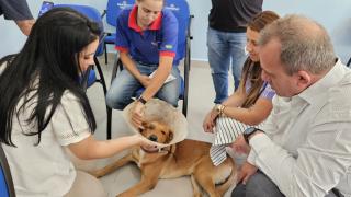 1ª Dama de Sumaré visita Bem-Estar Animal da PMNO 2025-01-21 (44)