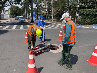 Coden - desratização desbaratização deinsetização rede de esgoto 2024-09-20 (13)