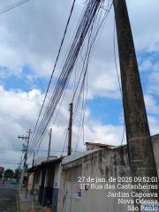 Faxina de Cabos Postes PMNO - vistoria de Obras para notificação CPFL 2025-01-27 (13)