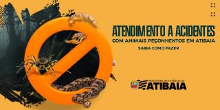 Atibaia conta com unidade de saúde referência no atendimento a acidentes com animais peçonhentos