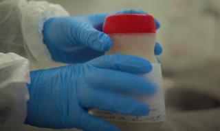 WhatsApp_Image_2025-10-03_at_10.35.47